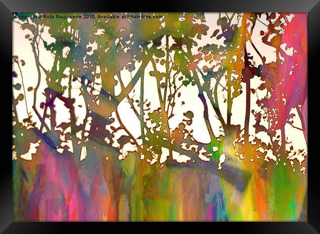 Rainbow Trees Framed Print by Ruta Naujokiene