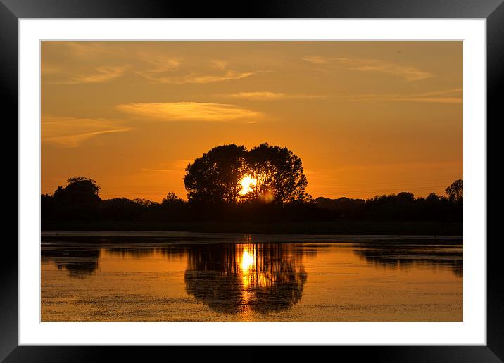 Loveheart Tree at Sunset Framed Mounted Print by I Burns