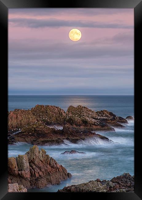 Moonrise Framed Print by Mike Stephen