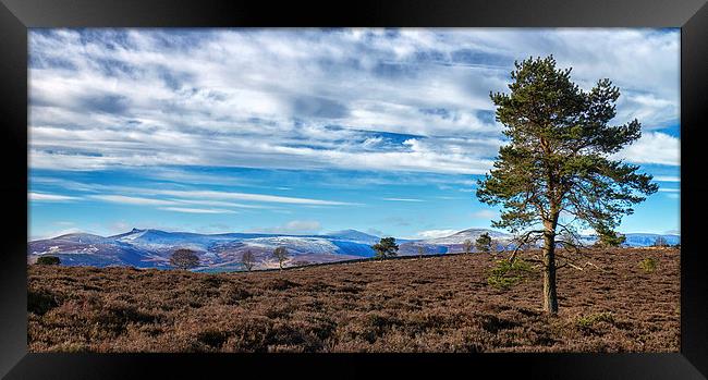 View From Scolty Hill Framed Print by Mike Stephen