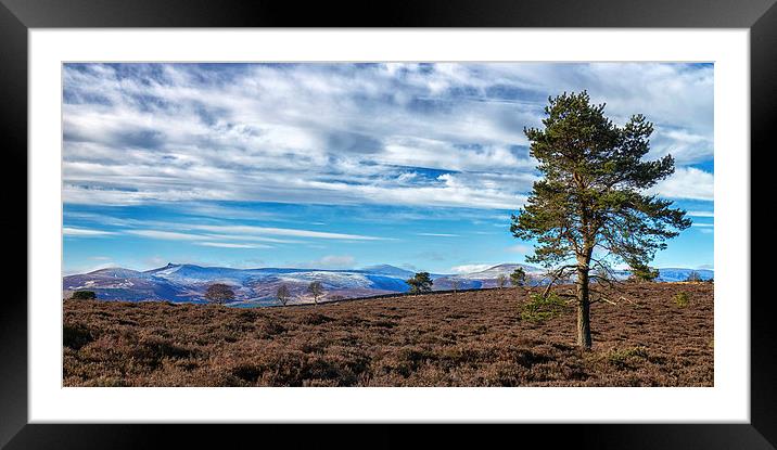 View From Scolty Hill Framed Mounted Print by Mike Stephen