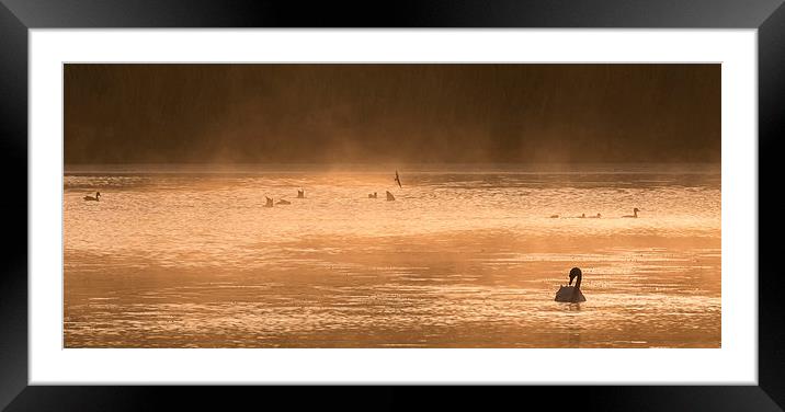  On Golden Pond Framed Mounted Print by Mike Stephen