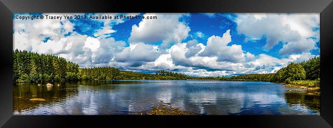 Venford Reservoir Panorama. Framed Print by Tracey Yeo