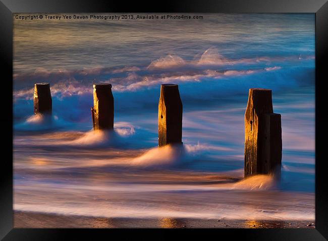 Groynes At Sunrise Framed Print by Tracey Yeo