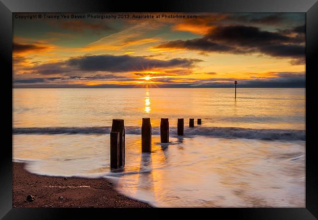 Beach Golden Sunrise Framed Print by Tracey Yeo