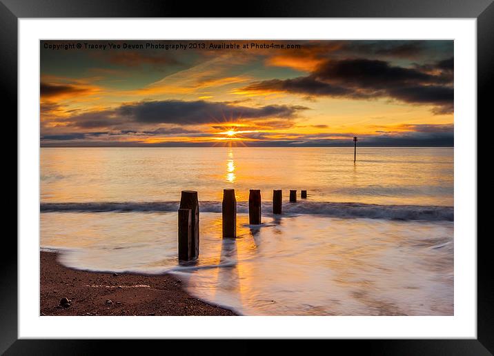 Beach Golden Sunrise Framed Mounted Print by Tracey Yeo