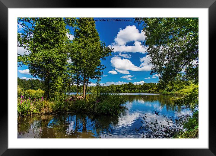 Reflections in Stover Lake. Framed Mounted Print by Tracey Yeo