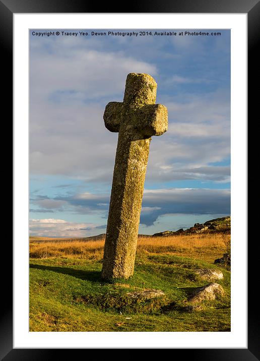 Windy Post Cross Framed Mounted Print by Tracey Yeo