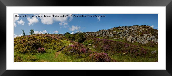 Heather and Granite Framed Mounted Print by Tracey Yeo