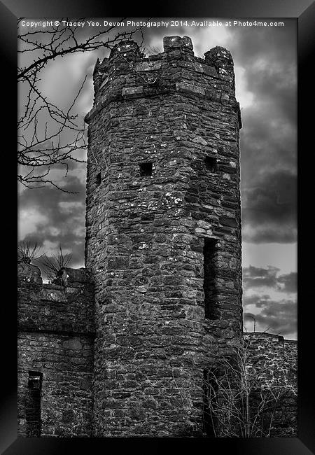 East Wall Tower Framed Print by Tracey Yeo