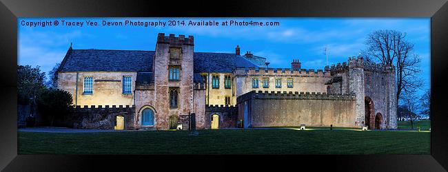 Torre Abbey Floodlit Framed Print by Tracey Yeo