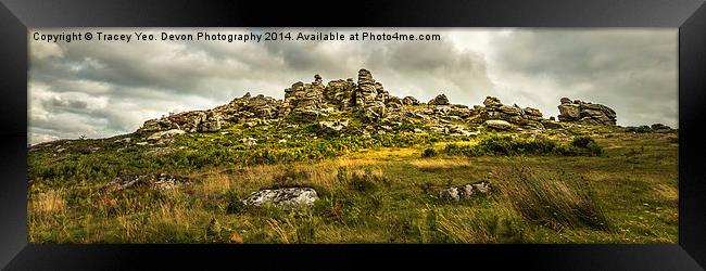 Hound Tor on Dartmoor Framed Print by Tracey Yeo