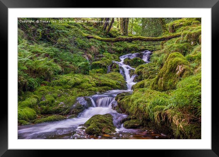 Venford Brook - Dartmoor Framed Mounted Print by Tracey Yeo