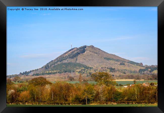 The Wrekin Framed Print by Tracey Yeo