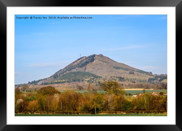 The Wrekin Framed Mounted Print by Tracey Yeo