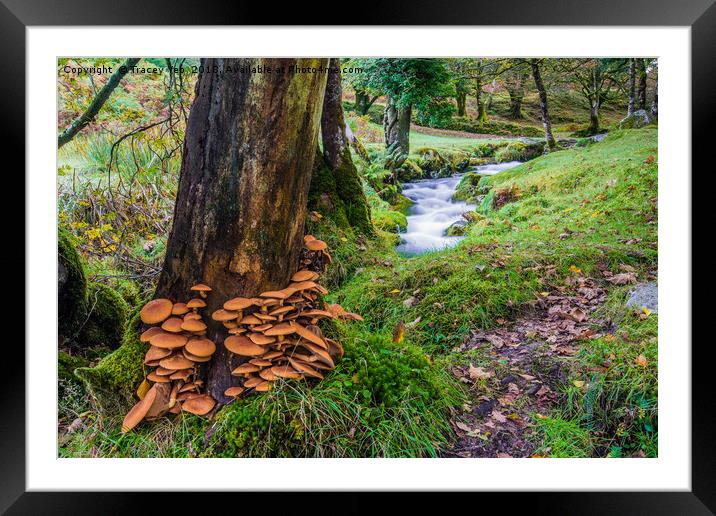 Fungi Invasion Framed Mounted Print by Tracey Yeo