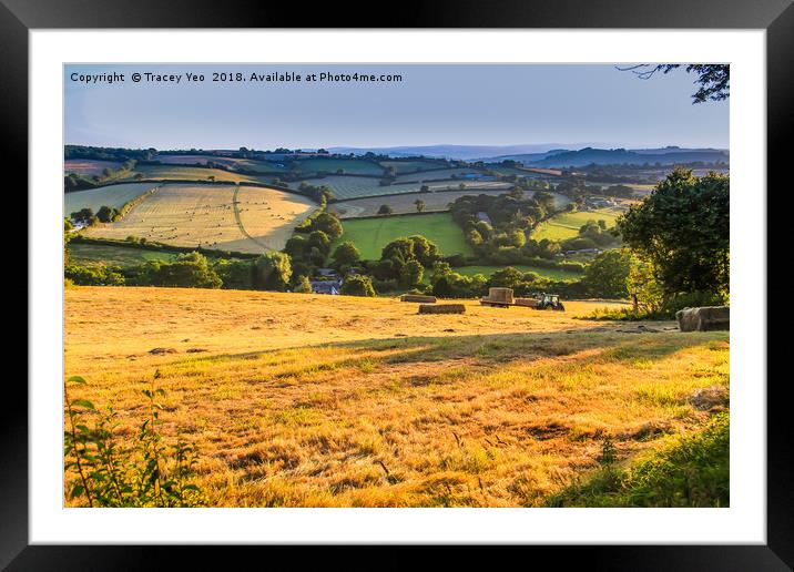 Hay Making  Framed Mounted Print by Tracey Yeo