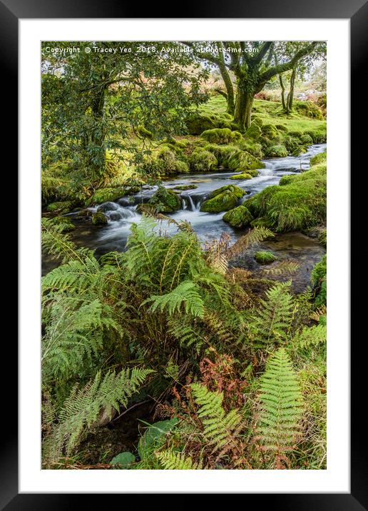 Flowing Beside The Ferns. Framed Mounted Print by Tracey Yeo