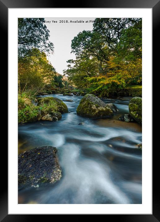 Badgers Holt at Dartmeet on Dartmoor. Framed Mounted Print by Tracey Yeo