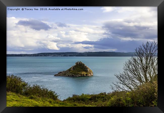 Looking Across Torbay. Framed Print by Tracey Yeo
