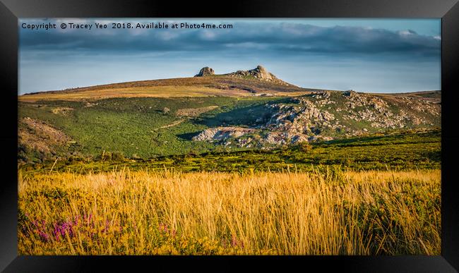 Haytor Rocks With Painted Effect. Framed Print by Tracey Yeo