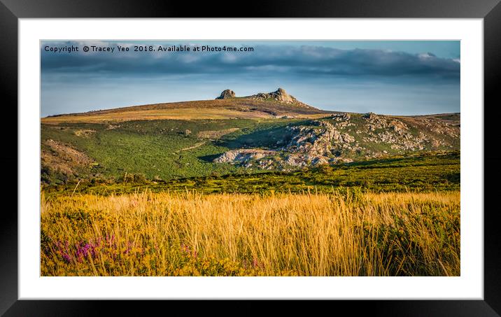 Haytor Rocks With Painted Effect. Framed Mounted Print by Tracey Yeo
