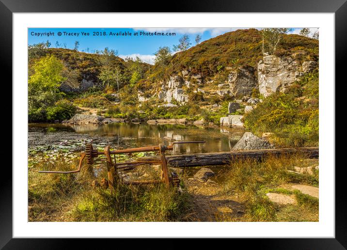 Haytor Quarry Dartmoor  Framed Mounted Print by Tracey Yeo