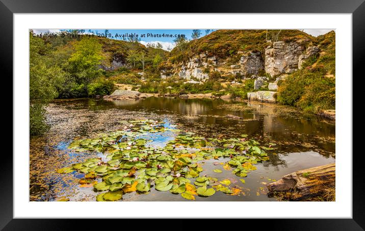 Haytor Quarry Dartmoor    Framed Mounted Print by Tracey Yeo