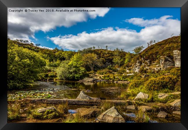 Haytor Quarry Dartmoor      Framed Print by Tracey Yeo