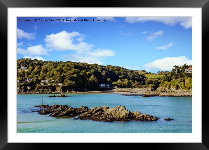 Salcombe Estuary At Low Tide. Framed Mounted Print by Tracey Yeo