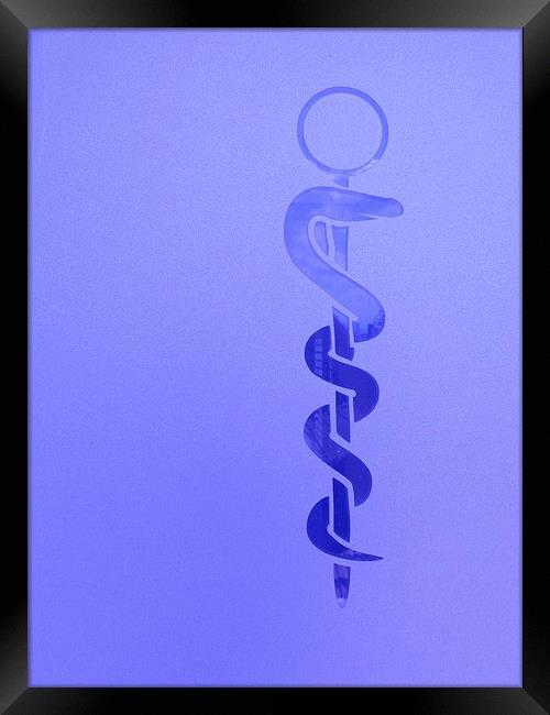 The Snake of Healing Framed Print by Steve Outram