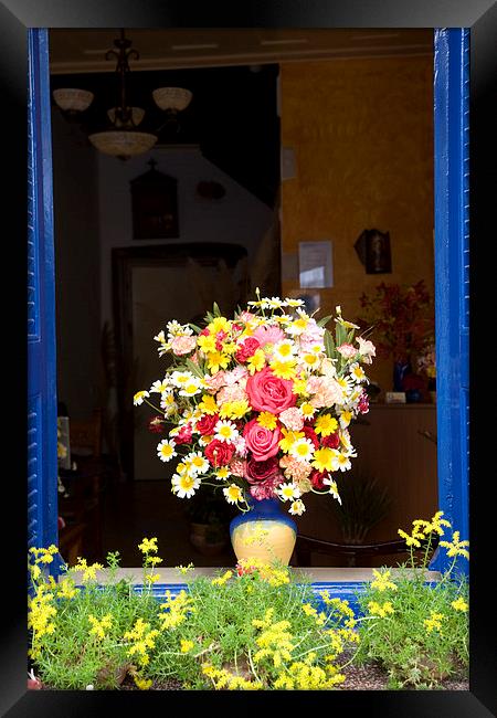 Flowers on a Windowsill Framed Print by Steve Outram