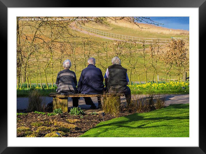 Admiring the view Framed Mounted Print by Brian Fry