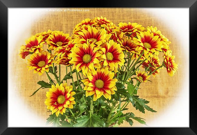 Red and Yellow Framed Print by Brian Fry