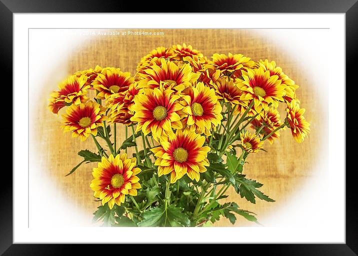 Red and Yellow Framed Mounted Print by Brian Fry