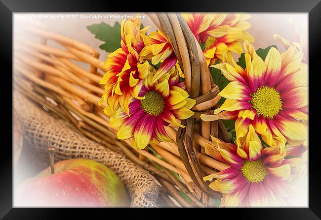  Chrysanthermums and a Basket Framed Print by Brian Fry
