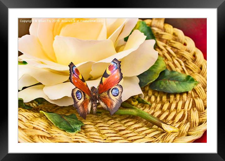  The Butterfly Framed Mounted Print by Brian Fry