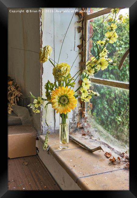 The Window Sill Framed Print by Brian Fry