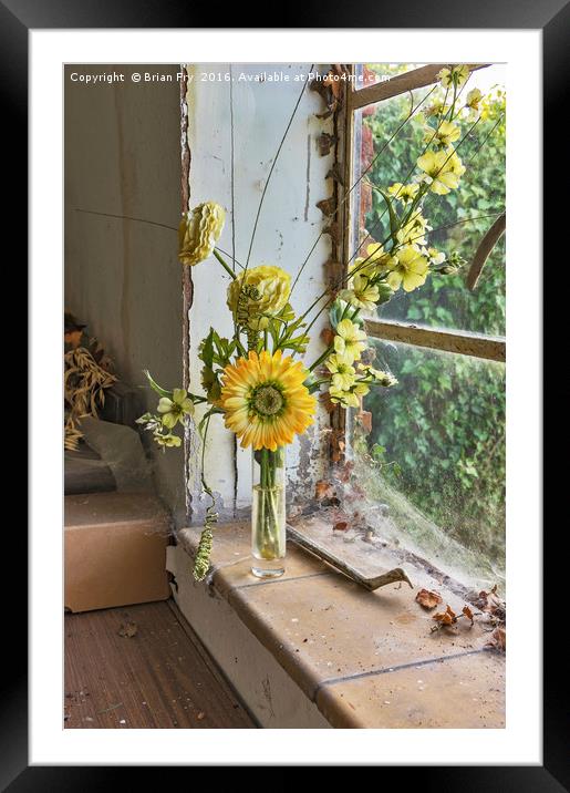 The Window Sill Framed Mounted Print by Brian Fry