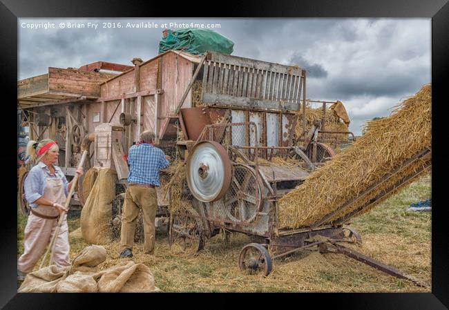 Farming Yesteryear Framed Print by Brian Fry