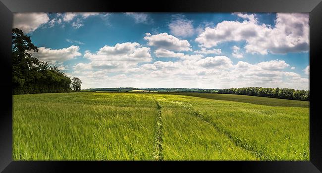  Summer Hampshire Fields Framed Print by Kevin Browne