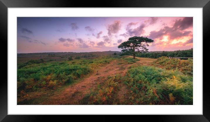 Bratley View New Forest 2016 Framed Mounted Print by Kevin Browne