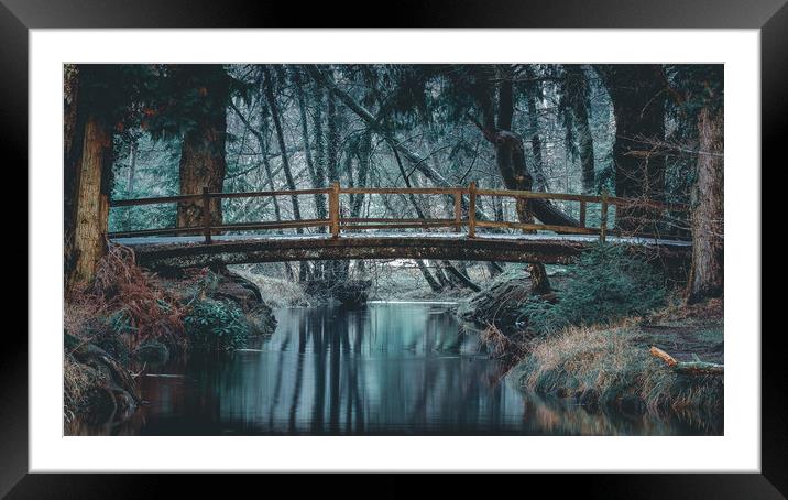 Rhinefield Ornamental Drive, New Forest Framed Mounted Print by Kevin Browne