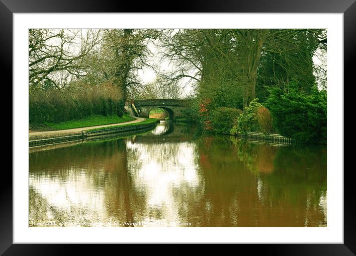 Nature's Reflections Framed Mounted Print by Lauren Bywater