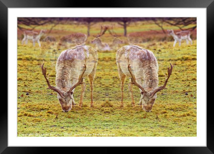 Oh Deer Me! Framed Mounted Print by Lauren Bywater