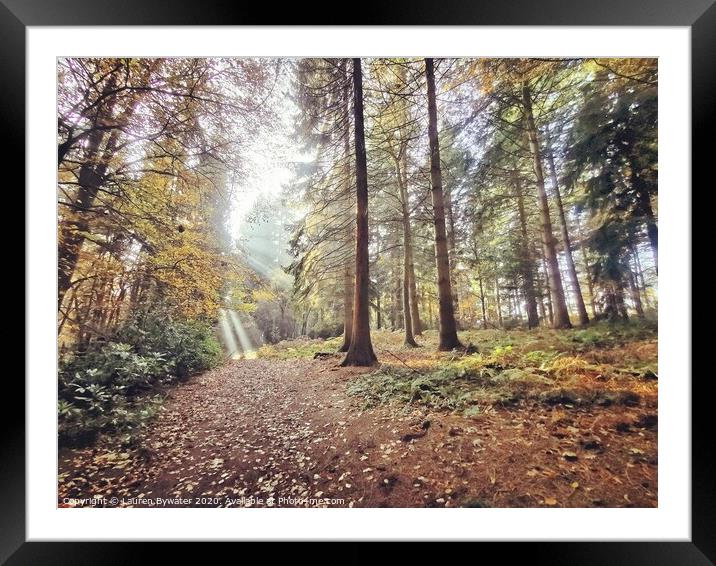 All the leaves are brown. And the sky is grey. I've been for a walk. On a winter's day.  Framed Mounted Print by Lauren Bywater