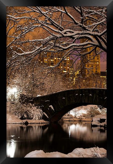 Central Park Winter Framed Print by Kevin Ainslie