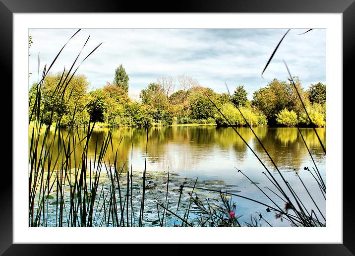 Sutton at Hone, Fishing Lake Framed Mounted Print by Leonard Lawday