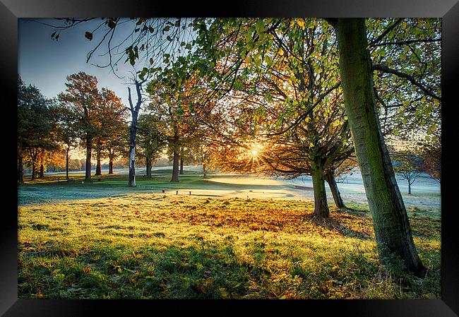 Rays of Autumn Framed Print by Alex Clark