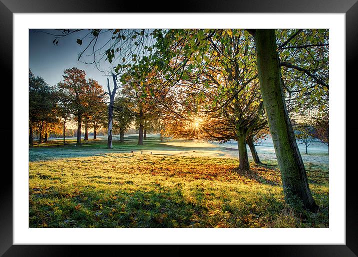 Rays of Autumn Framed Mounted Print by Alex Clark